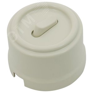 Выключатель 1-кл., пластик, цвет Слоновая кость (клавишный)