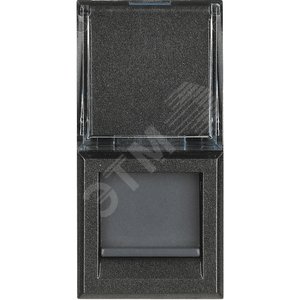 Axolute Розетка компьютерная RJ45 UTP категория 6