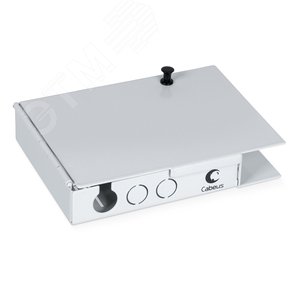 Бокс оптический настенный на 4 ST со сплайс-кассетой и КДЗС (без пигтейлов и проходных адаптеров)