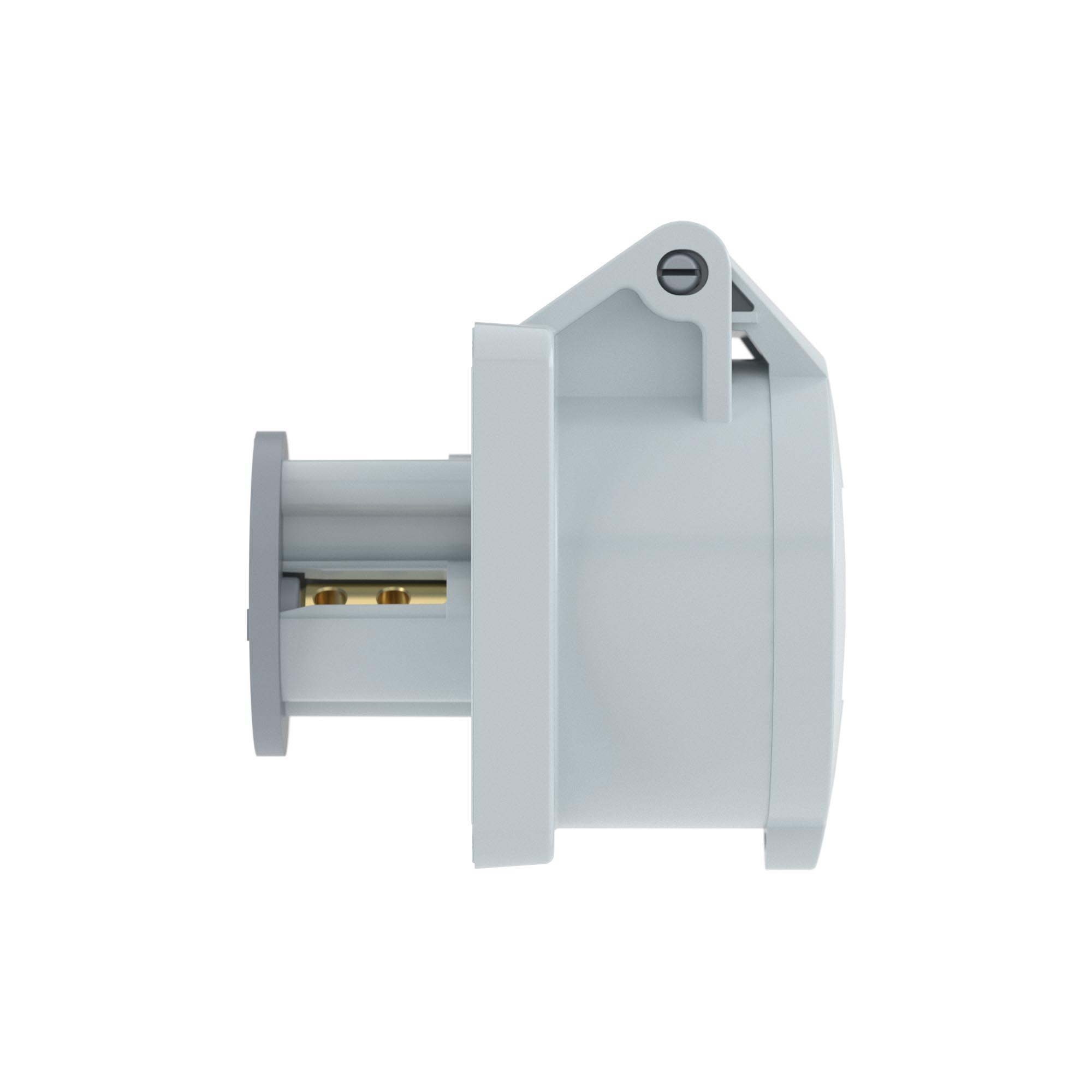 Розетка панельная PSS IP44 16A 2P 50В