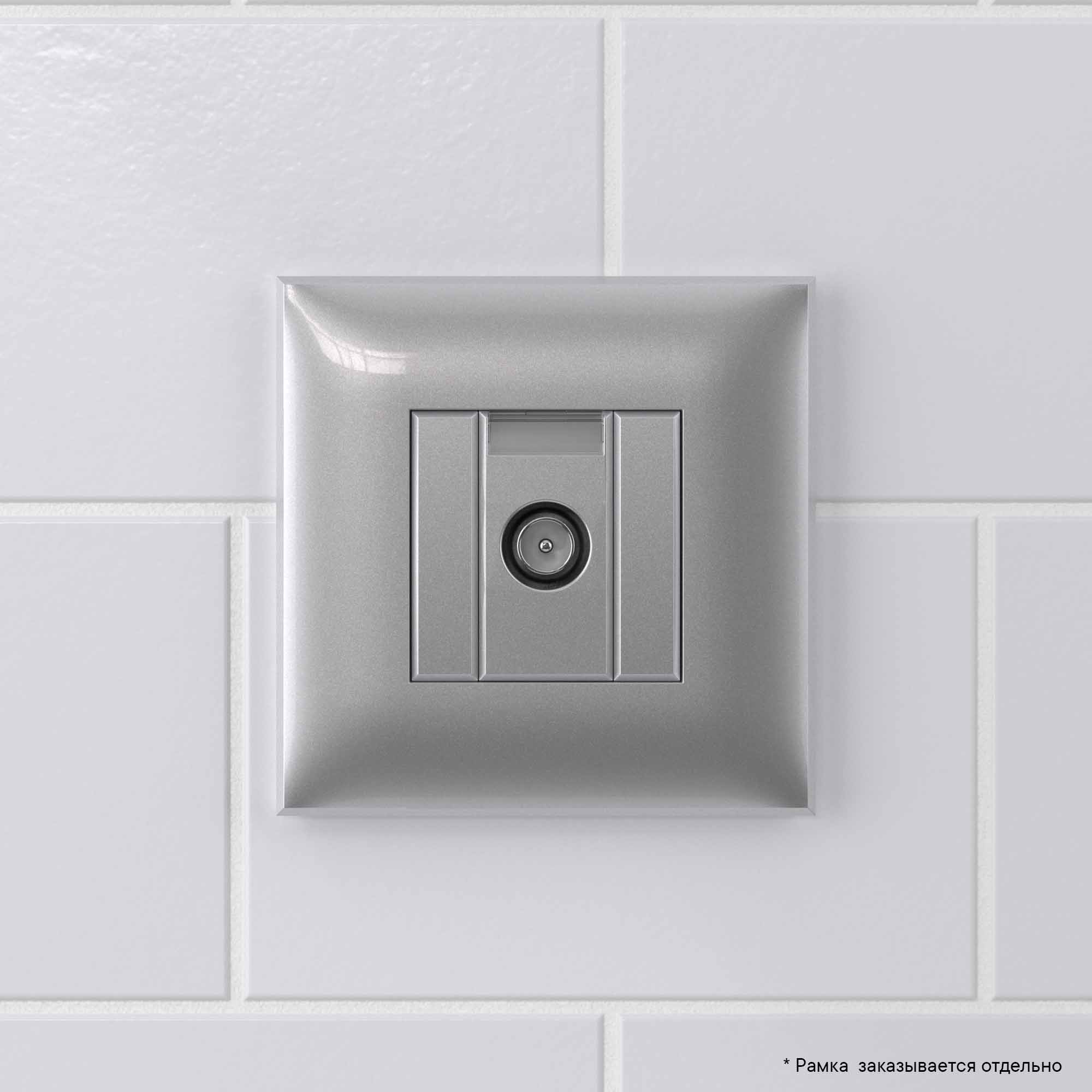 Розетка TV оконечная в стену, "Avanti", "Закаленная сталь"