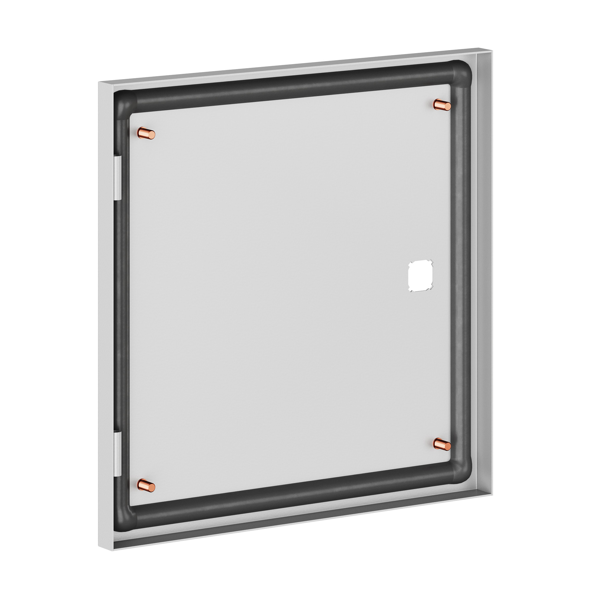 Дверь ST без ручки 300x300 (ВхШ) мм