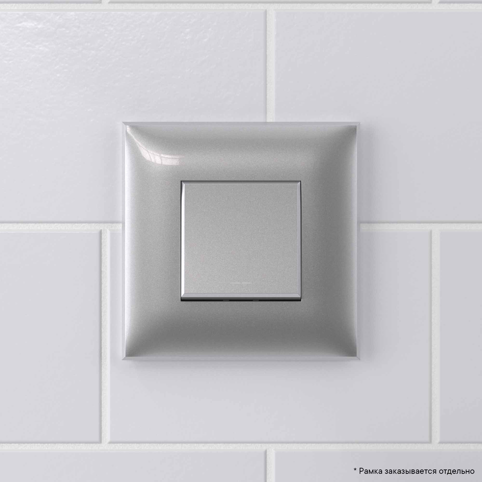 Инвертор одноклавишный в стену, "Avanti", "Закаленная сталь"