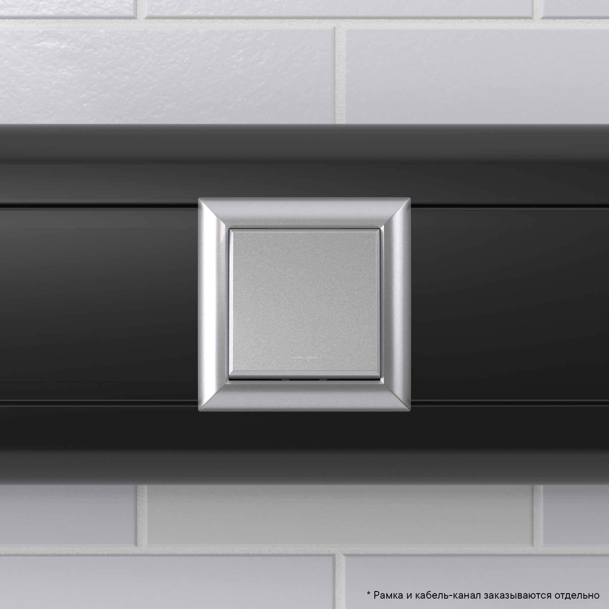 Инвертор одноклавишный модульный, "Avanti", "Закаленная сталь", 2 модуля