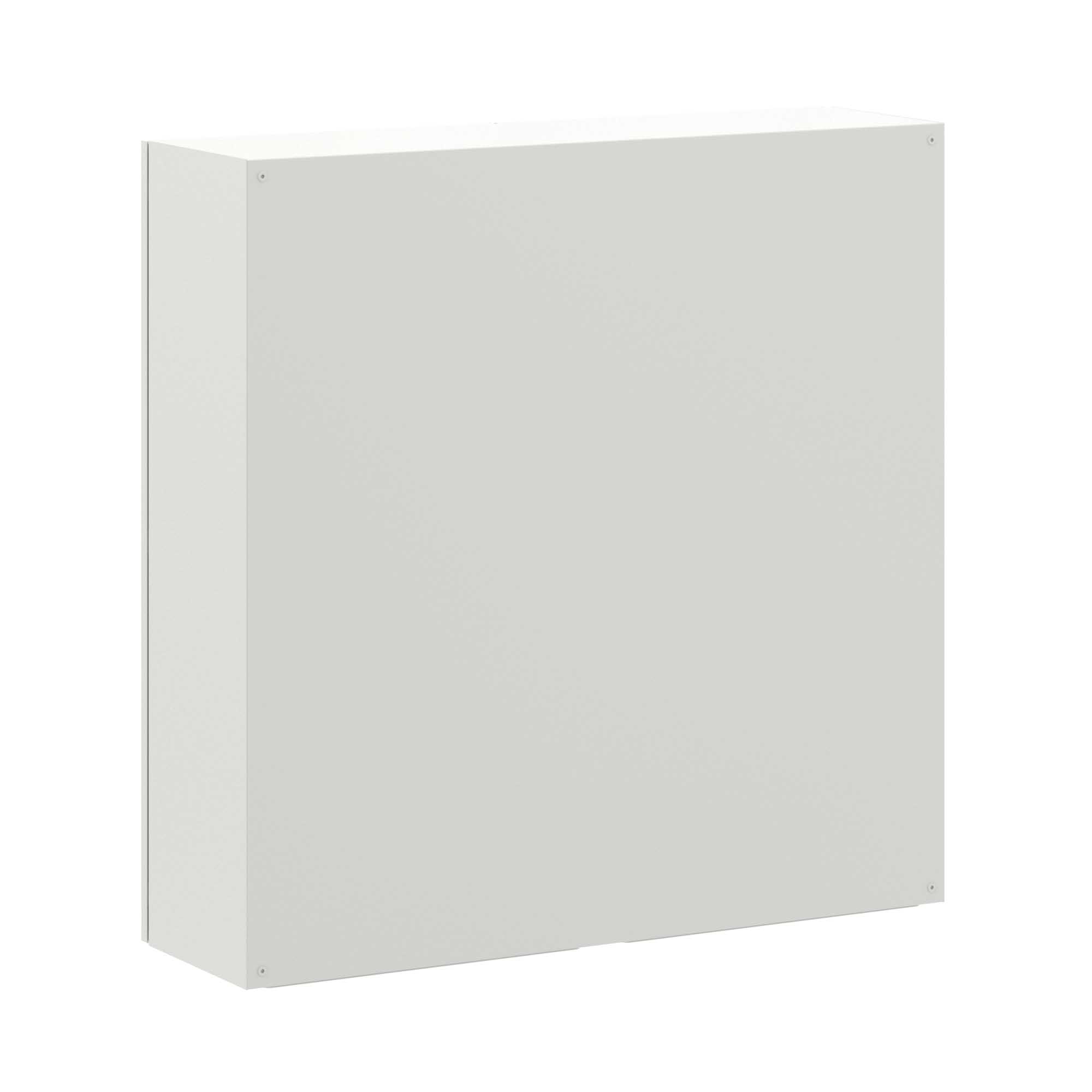 Корпус навесной STE с М/П двухдверный ВxШxГ 1000x1000x300 мм, IP55