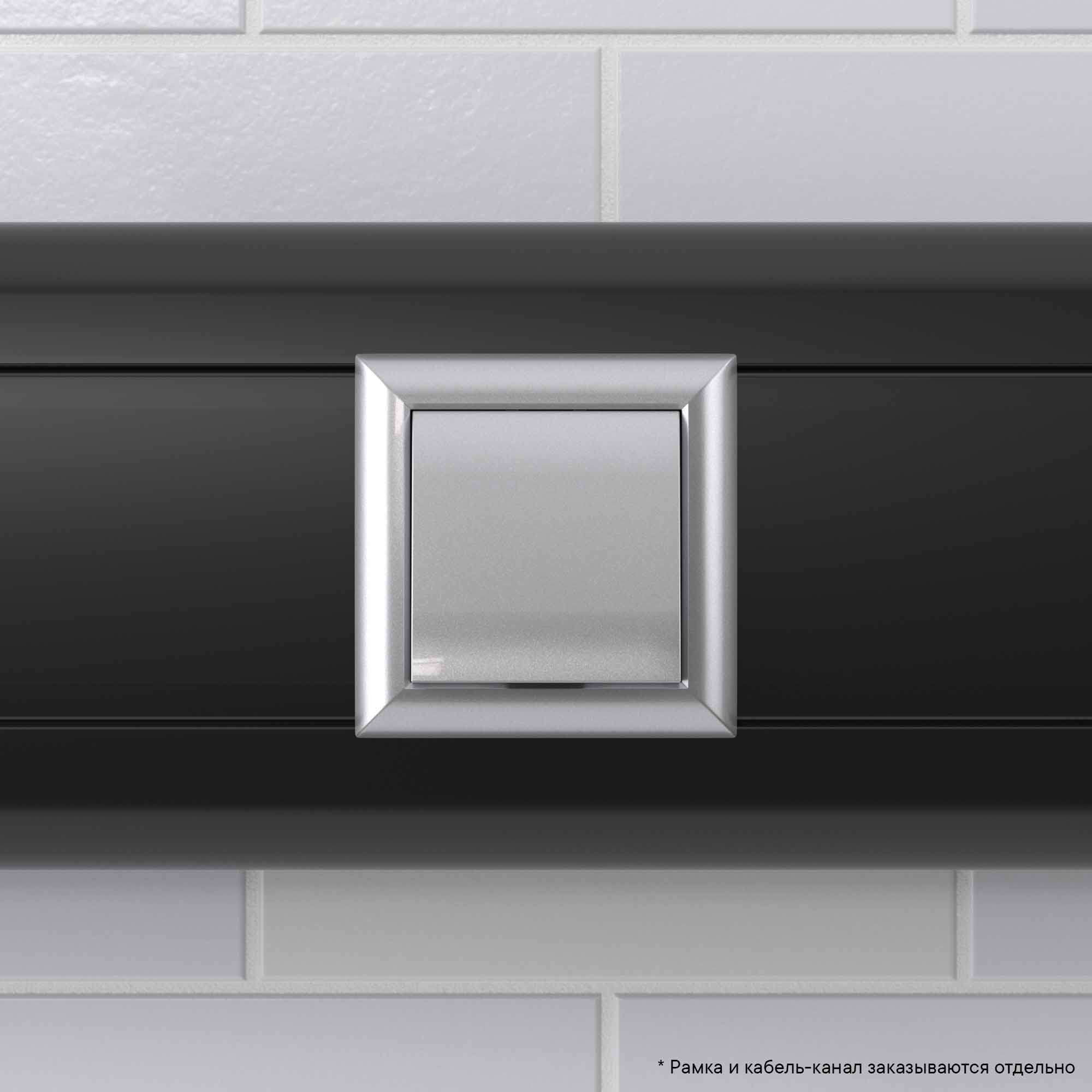 Вывод кабеля модульный "Avanti", "Закаленная сталь", 2 модуля