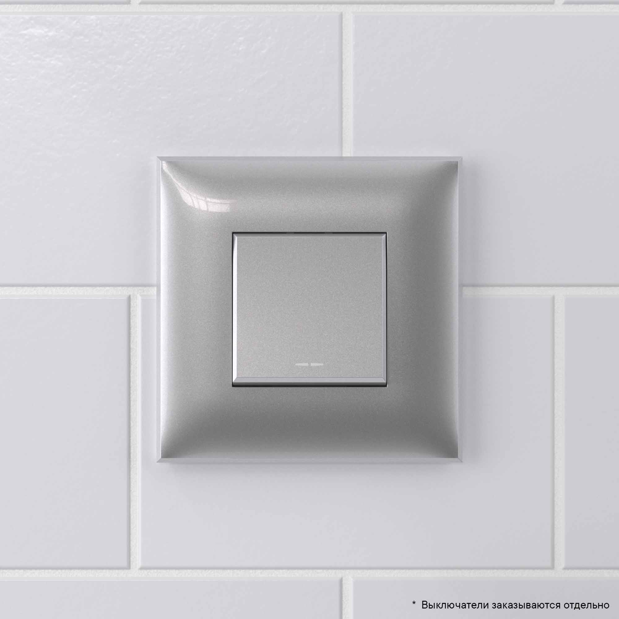 Рамка "Avanti", "Закаленная сталь", 1 пост (2 мод.)