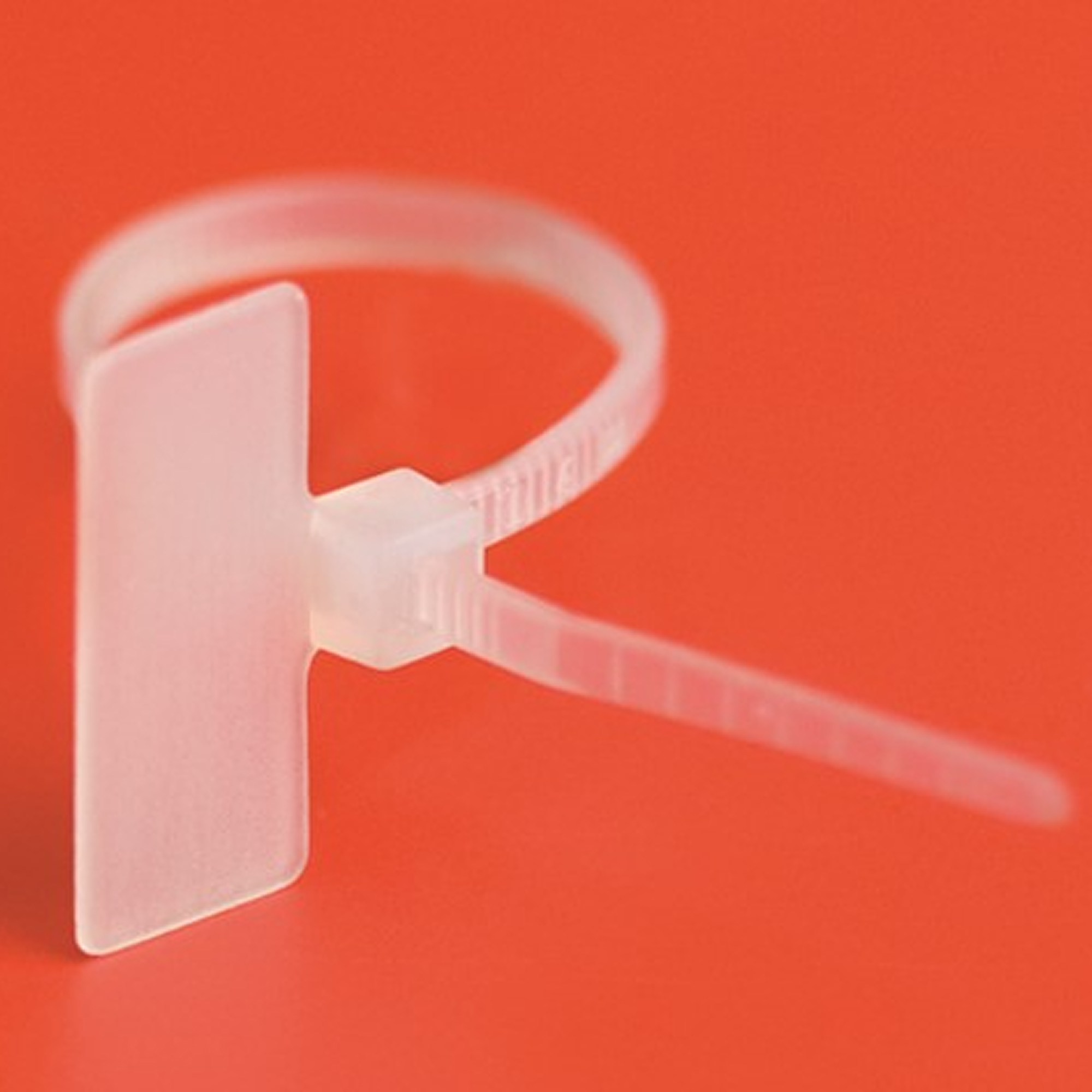 Хомут P6.6 маркировочный, белый 2,5x110, горизонтальная табличка над замком 20x9