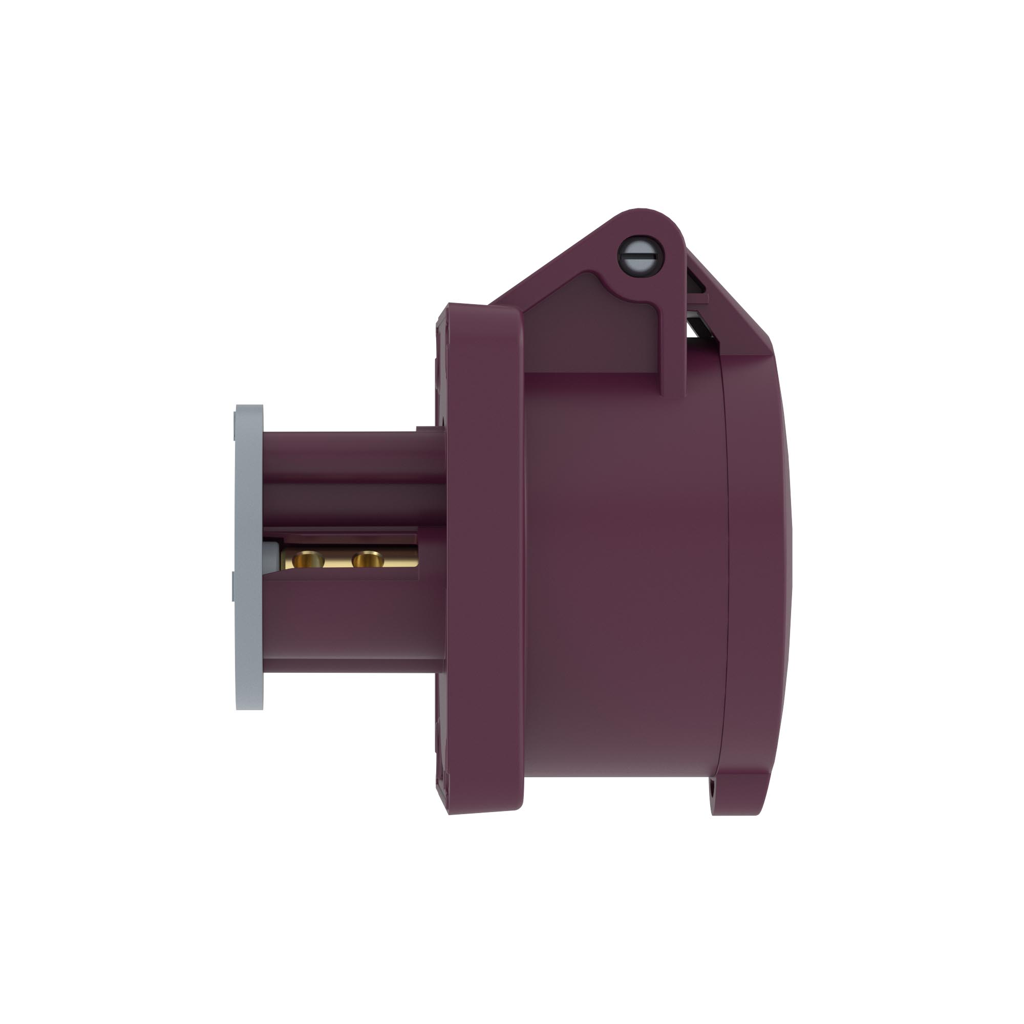 Розетка панельная PSS IP44 16A 3P 25В