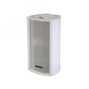 Колонна звуковая двухполосная всепогодная 60- 30Вт /100В Динамик 1х8 + 1х1, 80Гц-16 000Гц, белая