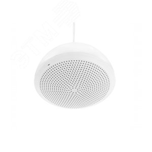 Оповещатель трансформаторный речевой РОП АРИЯ-ТС-5П К купольный 30/70/100 В 5Вт