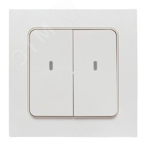 Умный беспроводной выключатель Стокгольм 2-кл. EKF Сonnect