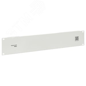 Фальшпанель TERACOM PRO 2U серая