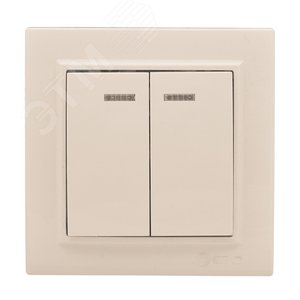 Выключатель двухклавишный СП Минск с индикатором 10А бежевый