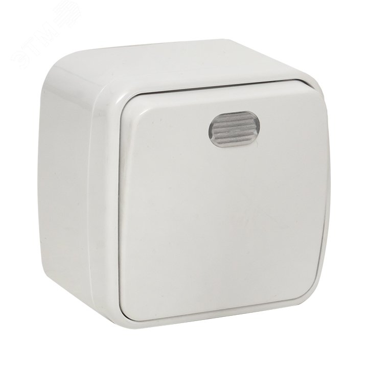 Выключатель Минск 1-клавишный ОП 10А с индикатором белый