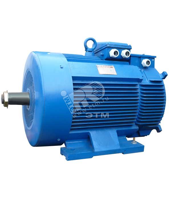 Электродвигатель 5MTH 400 М10 132/600 IM 1003