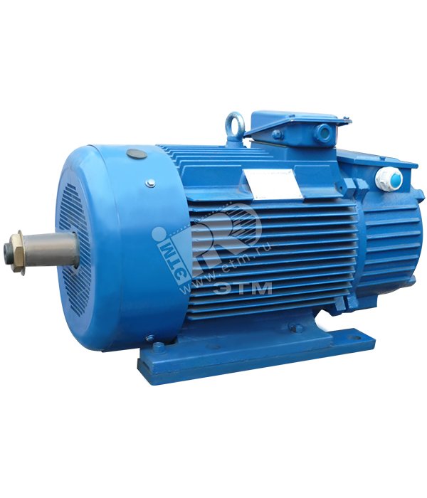 Электродвигатель 5МТН 411-8 15/750 IM 1003