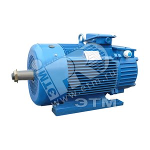 Электродвигатель 5МТН 411-8 15/750 IM 1003