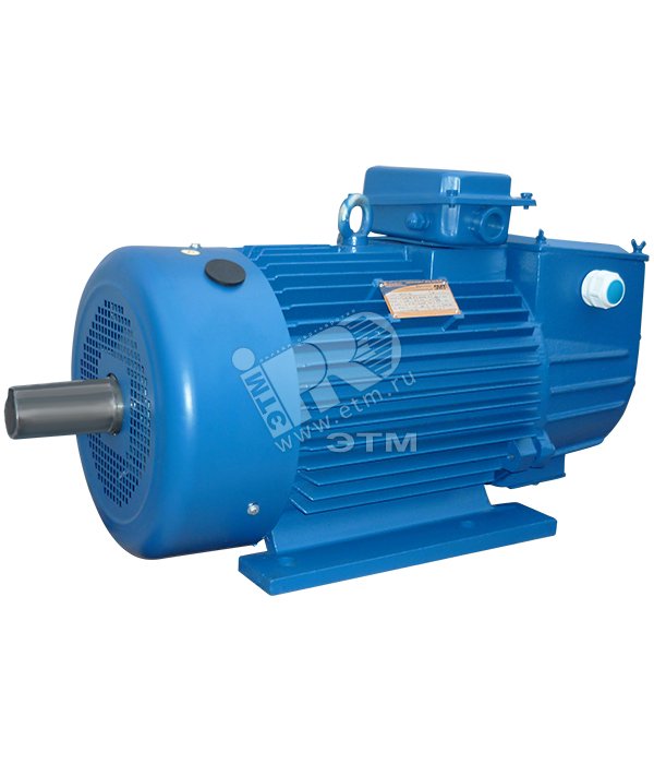 Электродвигатель крановый 312-6 IM 1001 15/1000 (5МТН)