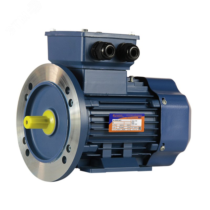 Электродвигатель 5АИ 63 А4 0.25/1500 IM 2081