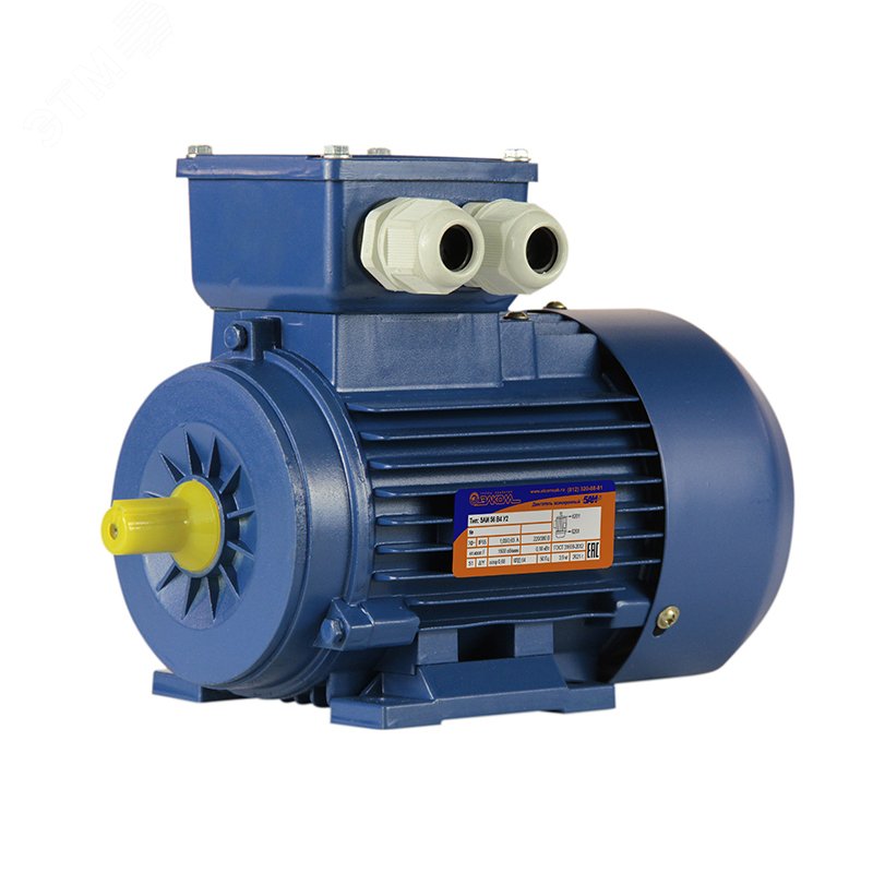 Электродвигатель 5АИ 56 В2 0.25/3000 IM 1081