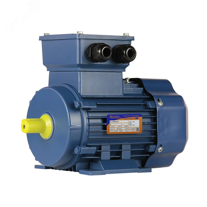 Электродвигатель 5АИ 63 А2 0.37/3000 IM 1081