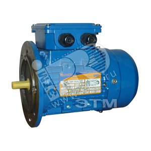 Электродвигатель 5АИ 56 А2 0.18/3000 IM 3081