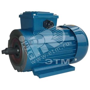 Электродвигатель 5АИ 56 А2 FF85 0.18/3000 IM 2181
