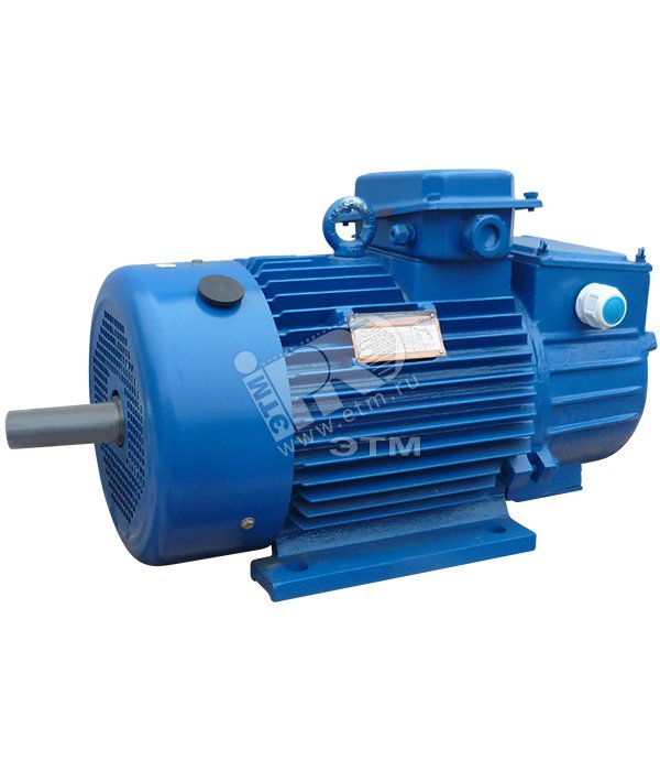 Электродвигатель 5MTH 211 В6 7.5/1000 IM 1001
