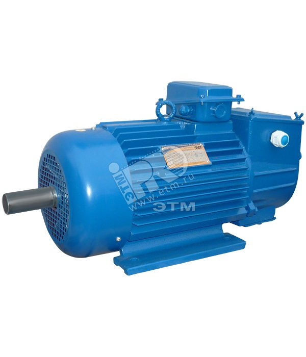 Электродвигатель 5МТН 111-6 3.5/1000 IM 1001