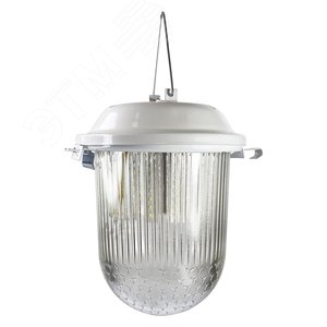 Светильник Желудь А СПЕЦСВЕТ 03-015-101 [351] подвесной, без реш. 220в, 15вт, 6500К, 1700лм, УХЛ2, IP54 ГУ (Д