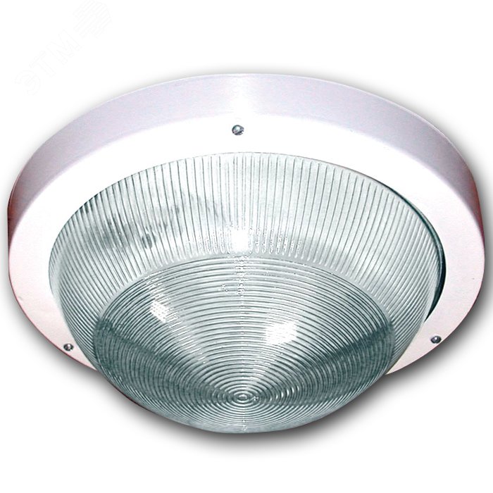 Светильник НПП-03-100-001 IP65 (Селена 1)