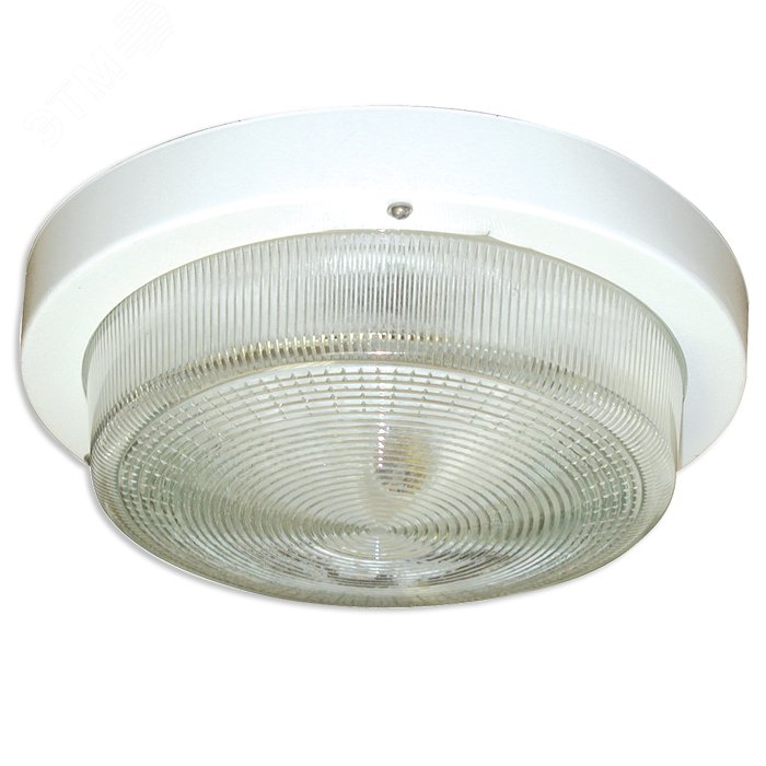 Светильник НПП-03-100-002 (Селена 2)