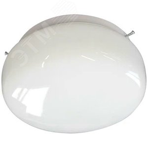 Светильник НПО-22-1х60-240 (Берет)