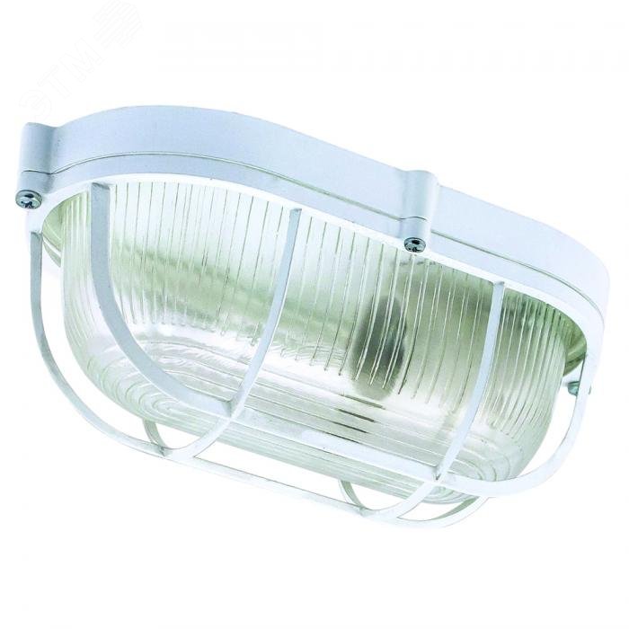 Светильник НПП-03-100-018 IP65 Банник 1202 Овал большой матовый/корпус с решеткой белый