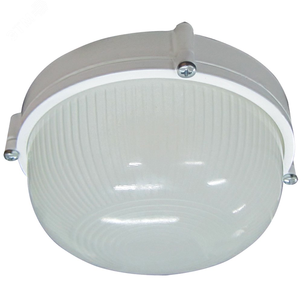 Светильник НПП-03-100-009 IP65 Банник 1101 Круг большой матовый/корпус белый