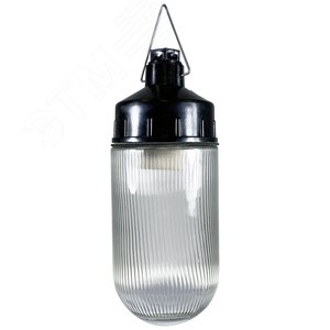 Светильник НСП 02-100-001 IP65 Желудь Ф корпус фенопласт