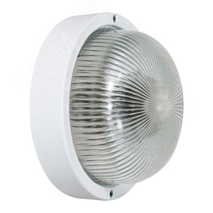 Светильник НБО-23-60-003 (Круг-60) прозрачный групповая упаковка