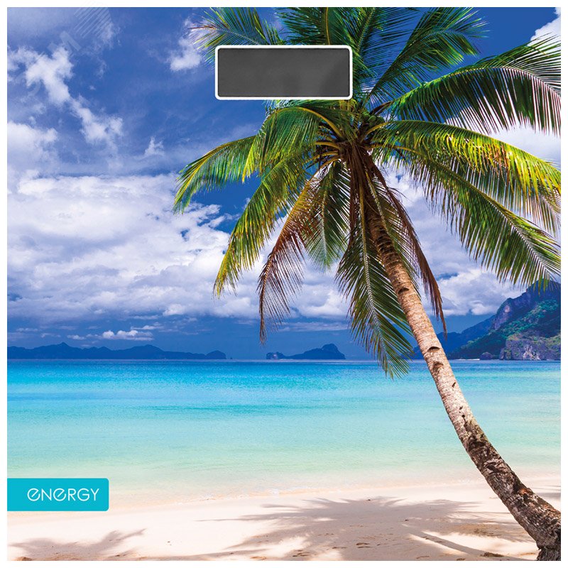 Весы напольные электронные EN-419P