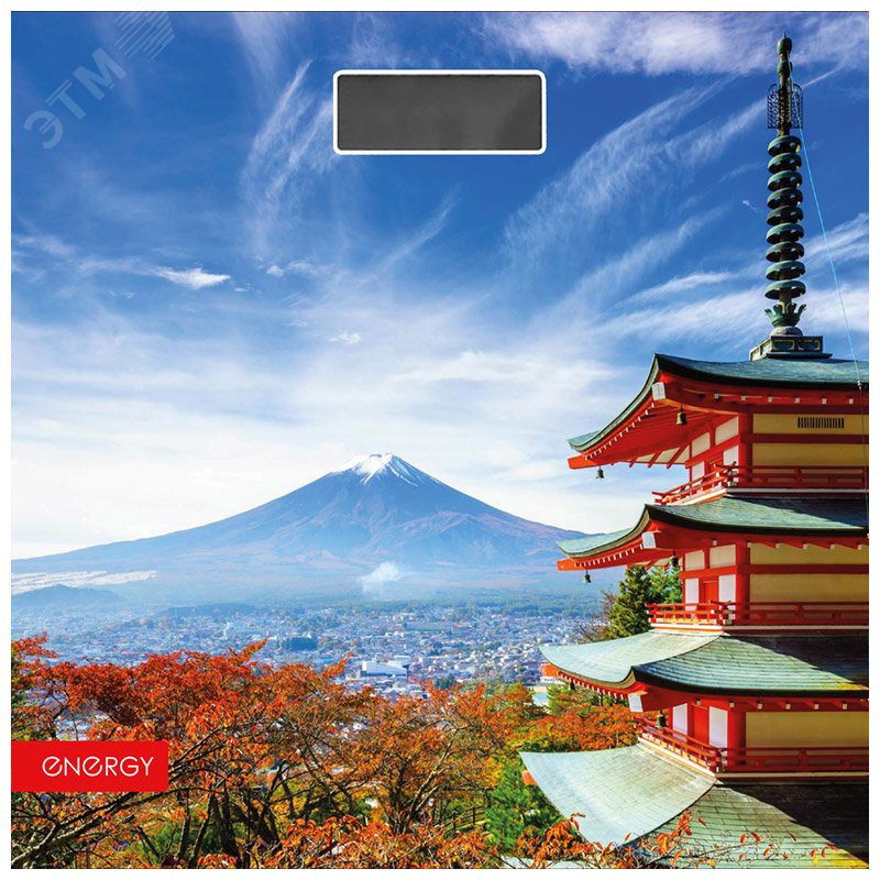 Весы напольные электронные EN-419H