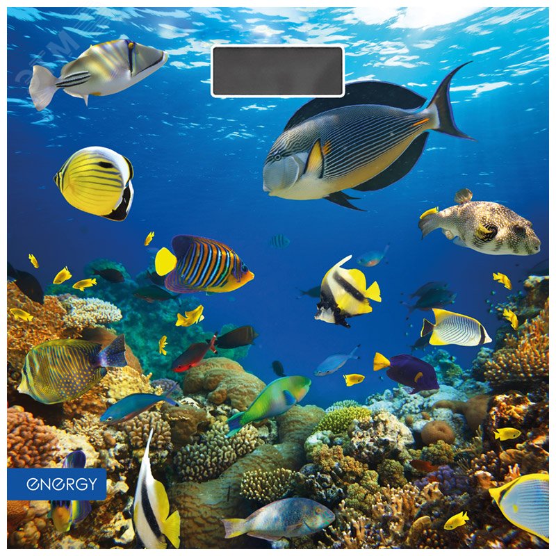 Весы напольные электронные EN-419M