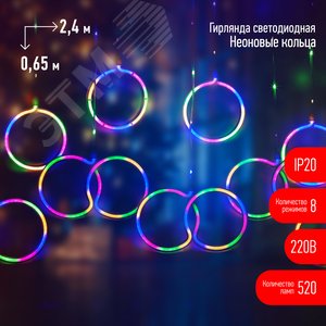 Светодиодная новогодняя гирлянда ЕGNIG - RI занавес Неоновые кольца 8 режимов 2,4*0,65 м мультиколор IP20
