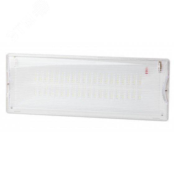 Аварийный светильник DPA-301-1-65 постоянный 40LED 3ч IP65 NiCD