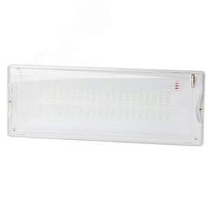 Аварийный светильник DPA-301-1-65 постоянный 40LED 3ч IP65 NiCD