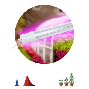 Светильник для растений, фитолампа светодиодная линейная FITO-24W-RB-N красно-синего спектра 24 Вт