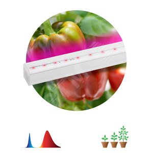 Линейный светильник красно-синего спектраFITO-16W-Т5-N (30/840)