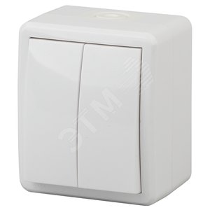 Выключатель двойной IP54, 10АХ-250В, ОУ, Эра Эксперт, белый,11-1404-01