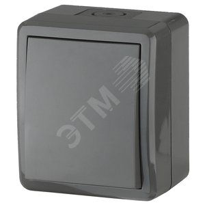 Переключатель IP54, 10АХ-250В, ОУ, Эра Эксперт, серый,11-1403-03