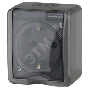 Розетка 2P+E IP54, шторки, 16A-250В, ОУ, Эра Эксперт, серый, 11-2402-03