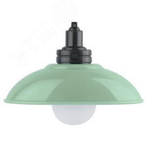 Ночник - светильник светодиодный NLED-487-1W-SW-GR настенный на батарейках с выключателем зеленый